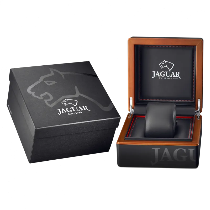 Jaguar J857/2  Фото 2